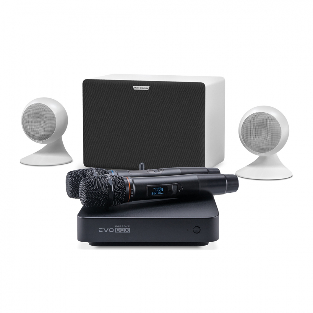 караоке-комплект EVOBOX Classic + EvoSound Sphere 2.1 в Сызрани
