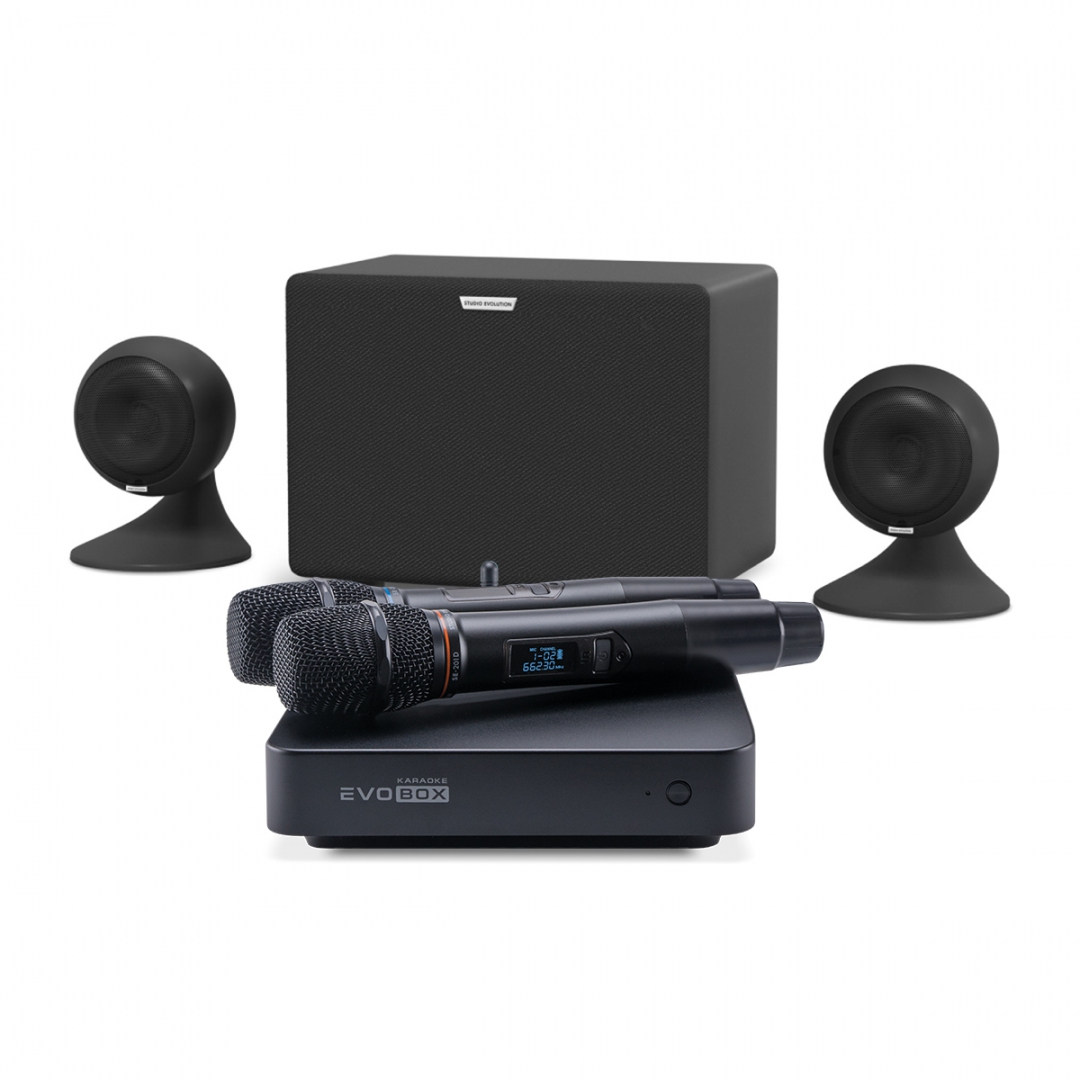караоке-комплект EVOBOX Plus + EvoSound Sphere 2.1 в Сызрани