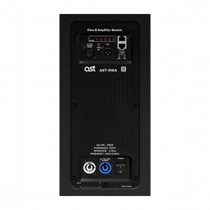 Активная акустическая система AST-310A в Сызрани