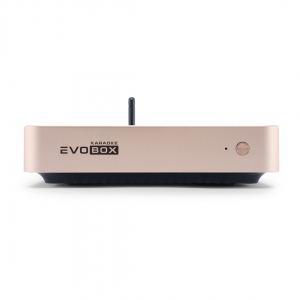 EVOBOX Plus караоке-система для дома в Сызрани