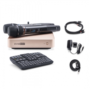 EVOBOX Plus караоке-система для дома в Сызрани