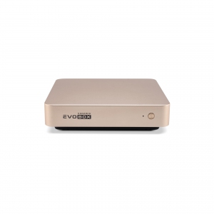 EVOBOX с микрофонами в Сызрани